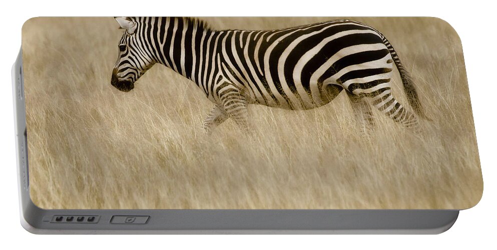 Africa Portable Battery Charger featuring the photograph Zebra in Grasses 2 by Jack Daulton
