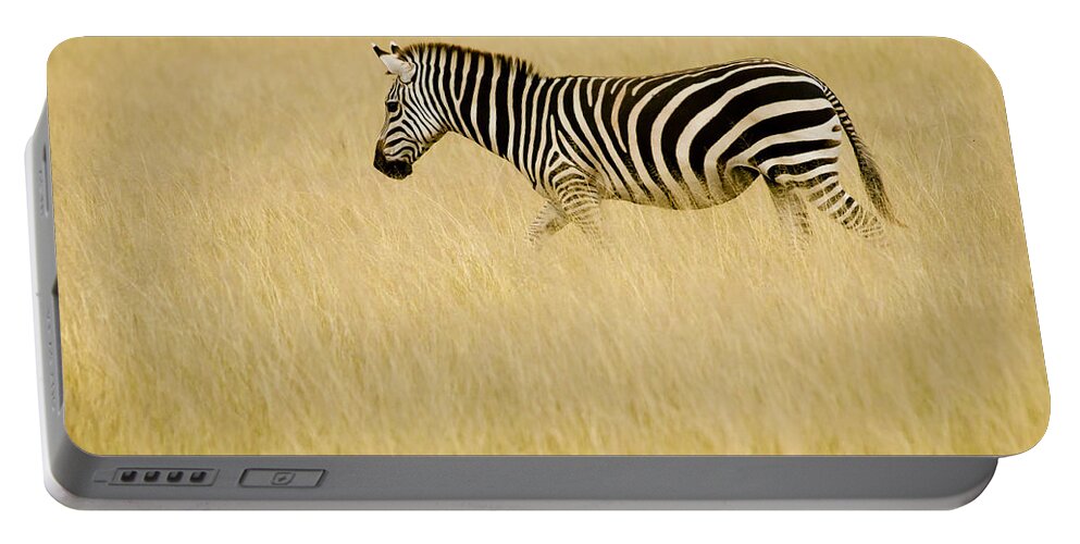 Africa Portable Battery Charger featuring the photograph Zebra in Grasses by Jack Daulton