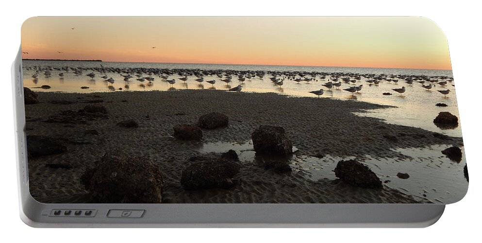 After Sunset Sky Glows Pale Orange At The Horizon As The Fading Light In The Sky Reflects In The Low Tide.sea Birds All Seem To Stare In The Same Direction Standing In The Shallows. Portable Battery Charger featuring the photograph Beach rocks barnacles and birds by Priscilla Batzell Expressionist Art Studio Gallery