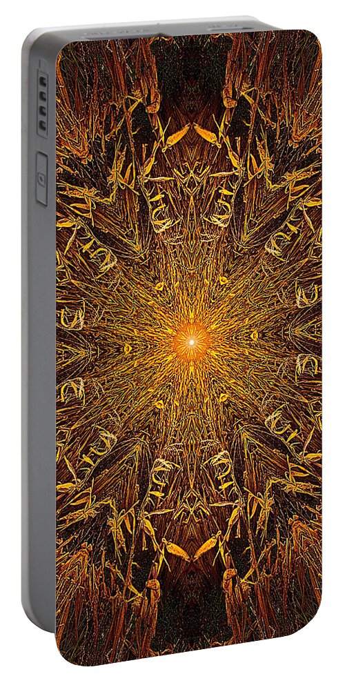 Fine Art Portable Battery Charger featuring the photograph 033 by Phil Koch