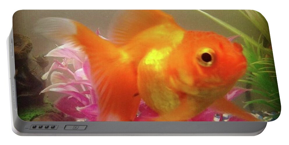 Fish Portable Battery Charger featuring the photograph Goldfish by Amanda Cardinali