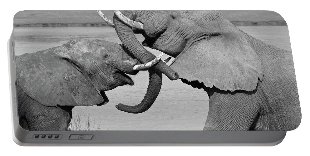 Africa Portable Battery Charger featuring the photograph A Friendly Tussle #1 by Michele Burgess