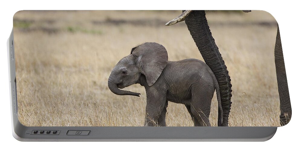 00784040 Portable Battery Charger featuring the photograph African Elephant Mother And Under 3 by Suzi Eszterhas
