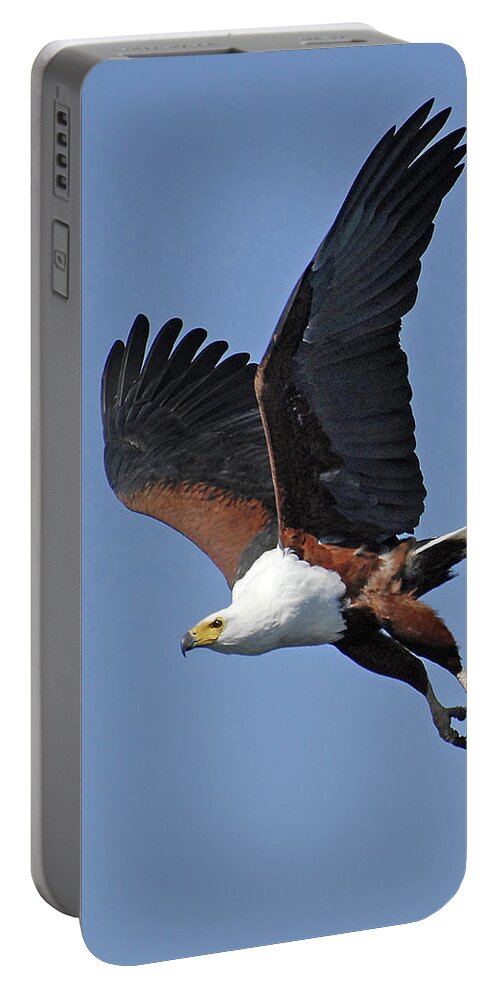 Africa Portable Battery Charger featuring the photograph African Fish Eagle by Ted Keller
