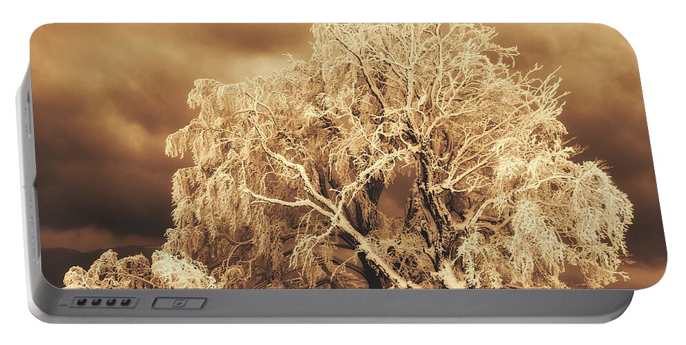Ice Storm Portable Battery Charger featuring the photograph After The Ice Storm #1 by Mountain Dreams