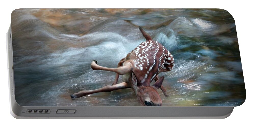 Deer Portable Battery Charger featuring the photograph Almost There #1 by Bill Stephens