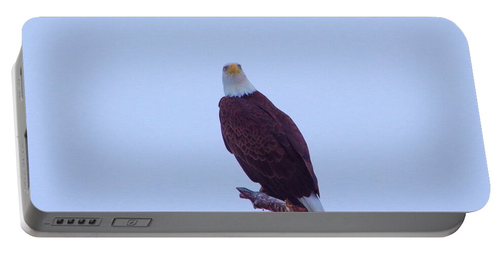  Eagle Portable Battery Charger featuring the photograph An eagle staring #1 by Jeff Swan