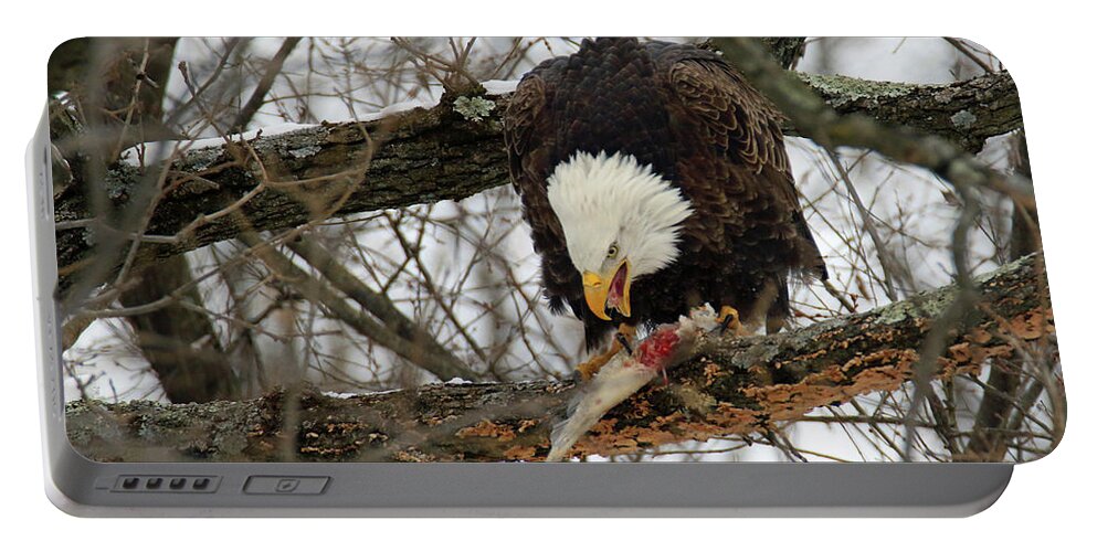 Bald Eagle Portable Battery Charger featuring the photograph An Eagles Meal #1 by Brook Burling