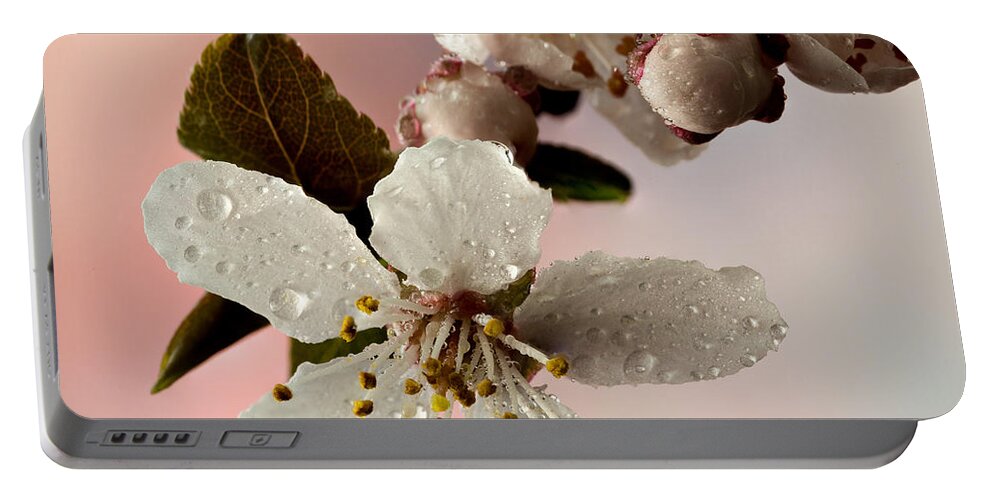 Anther Portable Battery Charger featuring the photograph Announcing Spring #1 by Mary Jo Allen
