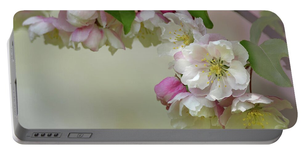 Flower Portable Battery Charger featuring the photograph Apple Blossoms #1 by Ann Bridges