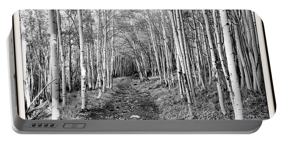 Aspen Portable Battery Charger featuring the photograph Aspen Forest by Farol Tomson