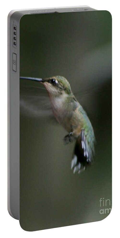 Bird Portable Battery Charger featuring the photograph At Dawn #1 by Barbara S Nickerson