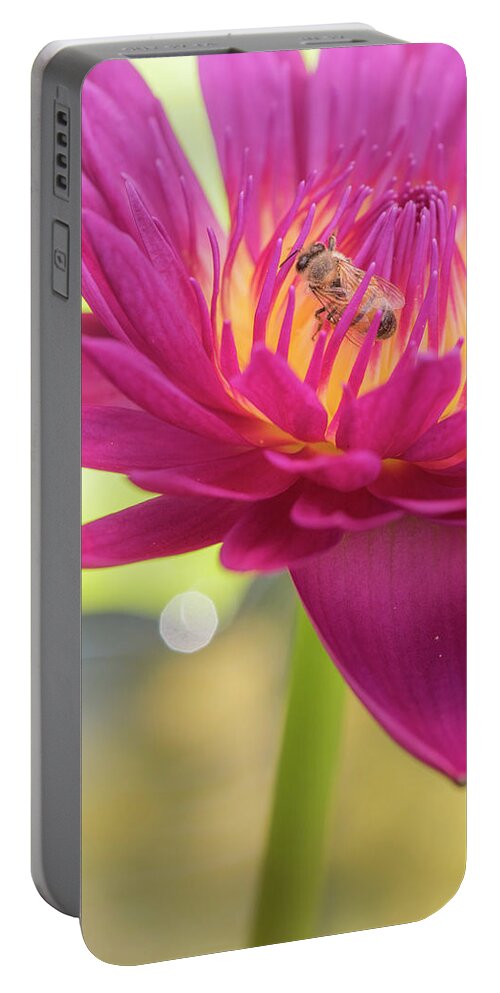Lily Portable Battery Charger featuring the photograph Attraction. by Usha Peddamatham