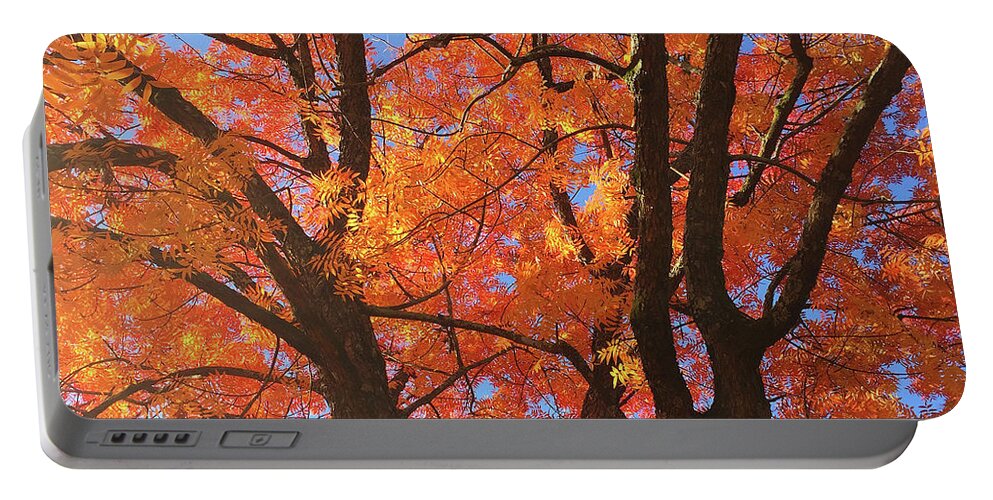 Autumn Portable Battery Charger featuring the photograph Autumn Orange #2 by Matthew Seufer