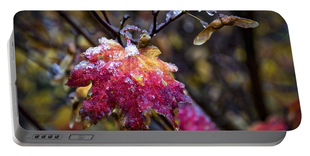 Autumn Snow Portable Battery Charger featuring the photograph Autumn Snow #1 by Mitch Shindelbower