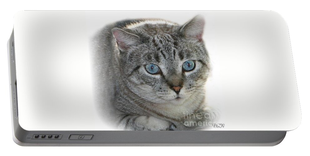 Cat Portable Battery Charger featuring the photograph Baby Blue #1 by Barbara S Nickerson
