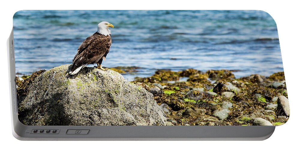 Bird Portable Battery Charger featuring the digital art Bald Eagle #1 by Birdly Canada