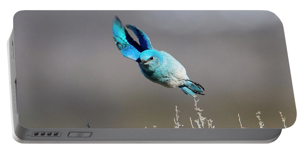 Mountain Bluebird Portable Battery Charger featuring the photograph Bank Right #1 by Michael Dawson