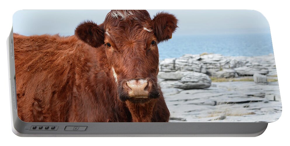 Cow Portable Battery Charger featuring the photograph Beautiful Brown Cow on the Burren in Ireland #1 by DejaVu Designs