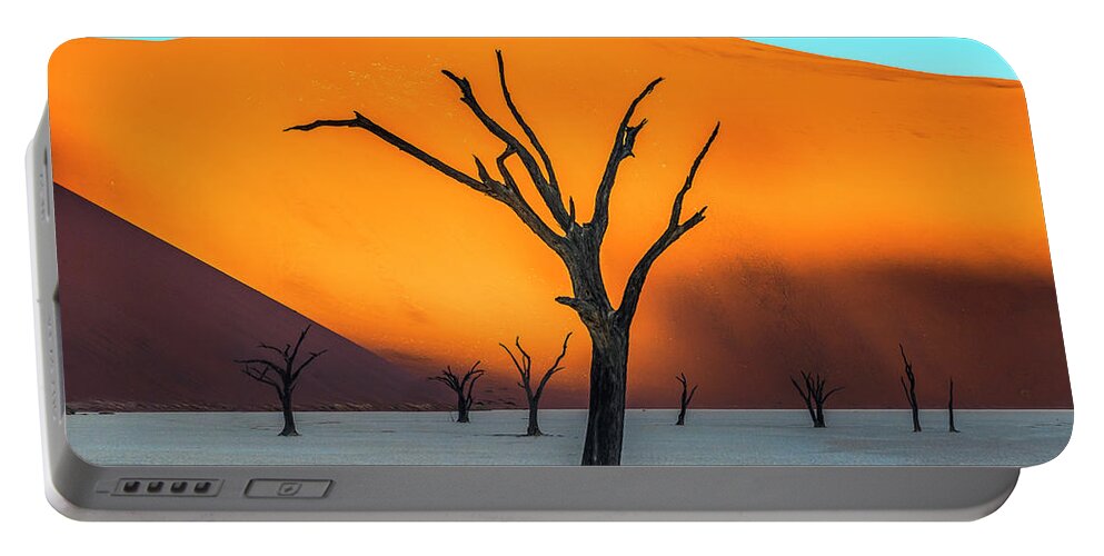 Deadvlei Portable Battery Charger featuring the photograph Beauty lives forever. #2 by Usha Peddamatham