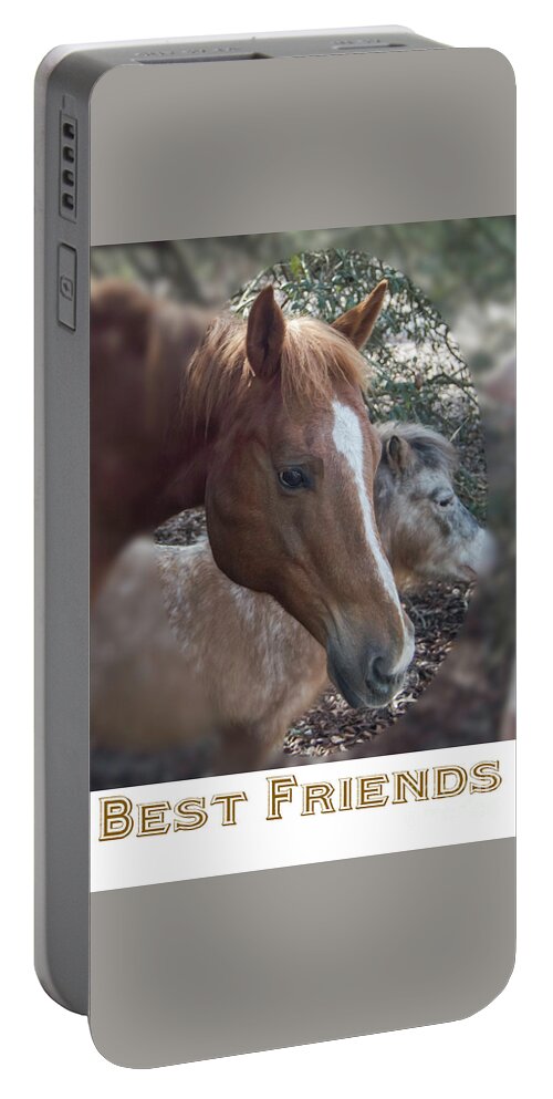 Friends Portable Battery Charger featuring the photograph Best Friends #1 by Judy Hall-Folde