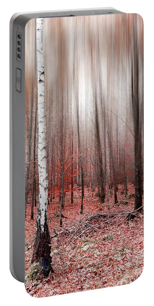 Abstract Portable Battery Charger featuring the photograph Birchforest In Fall by Hannes Cmarits