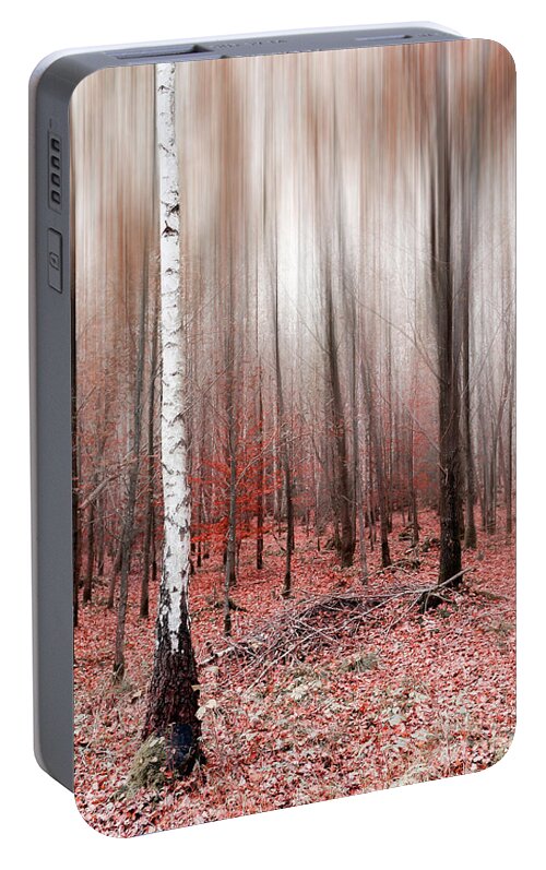 Abstract Portable Battery Charger featuring the photograph Birchforest In Fall #2 by Hannes Cmarits
