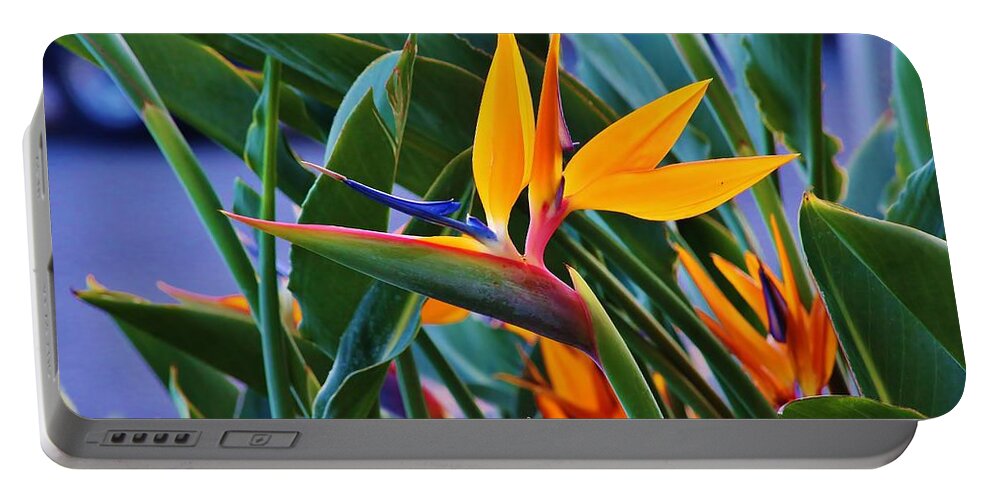 Bird Of Paradise Portable Battery Charger featuring the photograph Bird of Paradise #1 by Craig Wood