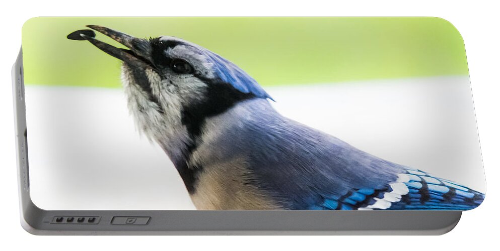 Blue Jay Portable Battery Charger featuring the photograph Blue Jay  #1 by Holden The Moment