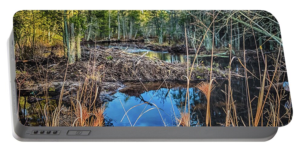 Franklin Parker Preserve Portable Battery Charger featuring the photograph Blue Reflection #1 by Louis Dallara