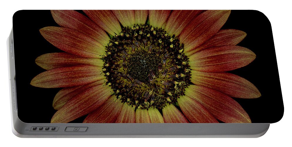Black Portable Battery Charger featuring the photograph Brown Sunflower #1 by Oscar Gutierrez