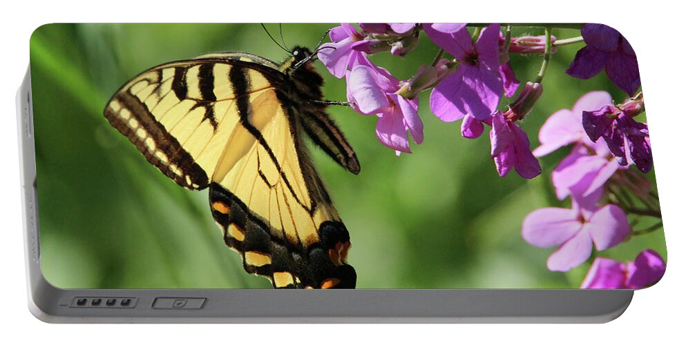 Nature Portable Battery Charger featuring the photograph Butterfly #1 by David Stasiak