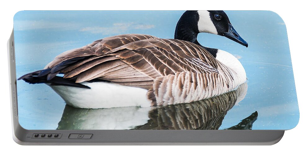 Heron Heaven Portable Battery Charger featuring the photograph Canada Geese In Spring #1 by Ed Peterson