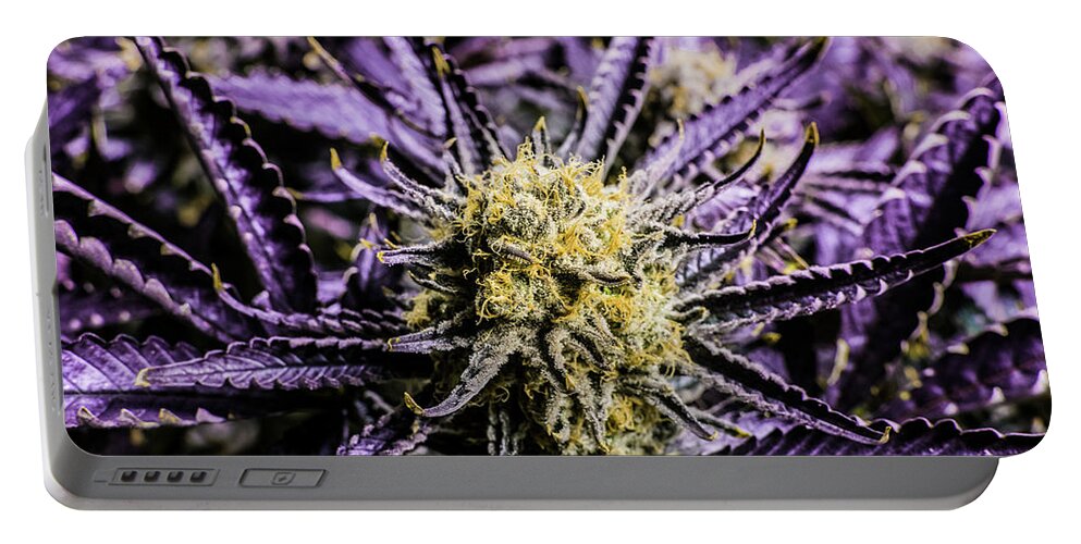 Cannabis Portable Battery Charger featuring the photograph Cannabis Macro #1 by Mitch McMaster