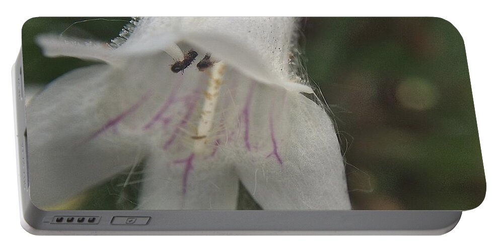 Bloom Portable Battery Charger featuring the photograph Capture #1 by Joseph Yarbrough