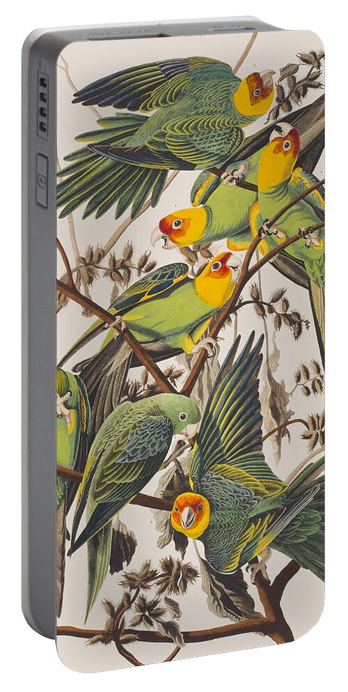 Parakeet Portable Battery Charger featuring the painting Carolina Parrot by John James Audubon
