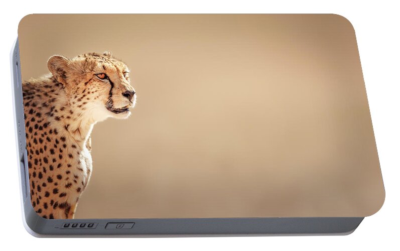 Cheetah Portable Battery Charger featuring the photograph Cheetah portrait #2 by Johan Swanepoel