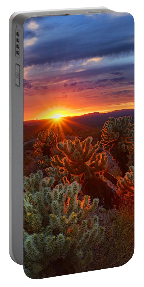 Sunset Portable Battery Charger featuring the photograph Cholla Sunset #1 by Saija Lehtonen