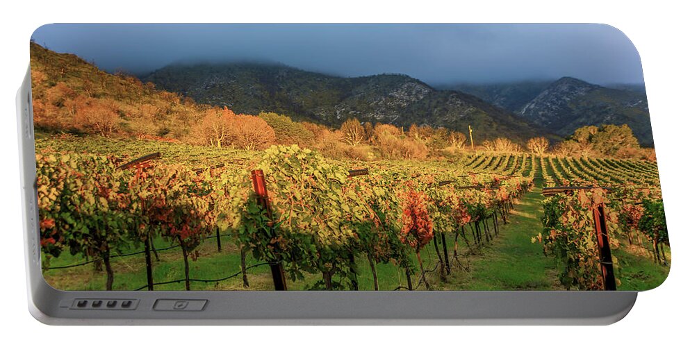 Vines Portable Battery Charger featuring the photograph Colibri Morning #2 by Kent Nancollas