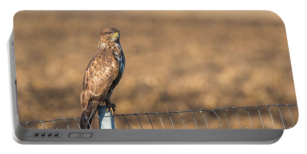 Accipitridae Portable Battery Charger featuring the photograph Common Buzzard Along the Highway Nis - Budapest #1 by Jivko Nakev