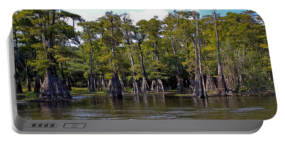 Cypress Portable Battery Charger featuring the photograph Cypress on the Suwannee by Farol Tomson