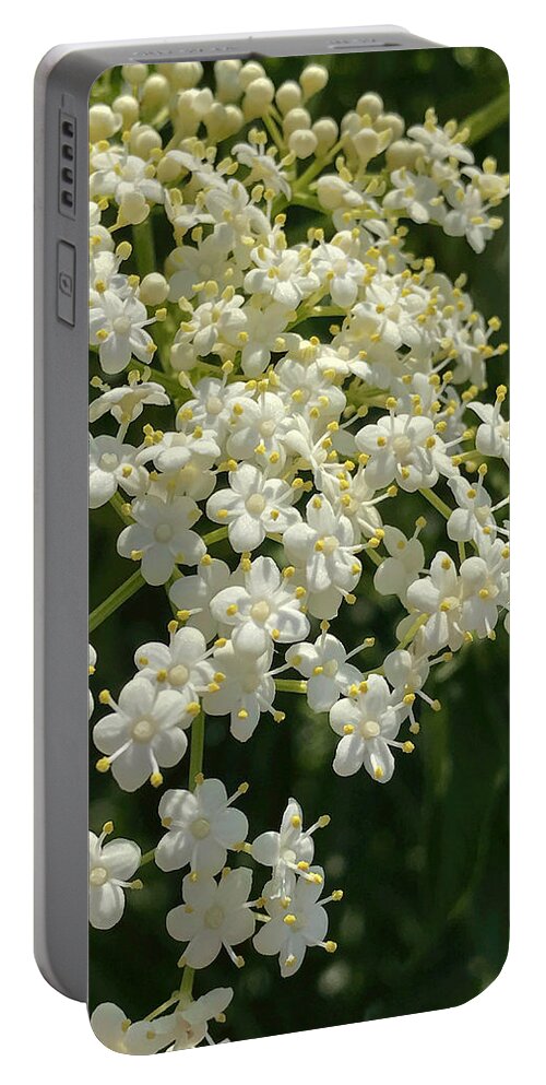 Queen Anne's Lace Portable Battery Charger featuring the photograph Dainty Wild Flower by Arlene Carmel