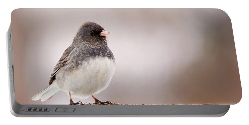 Dark-eyed Junco Portable Battery Charger featuring the photograph Dark-eyed Junco by Al Mueller