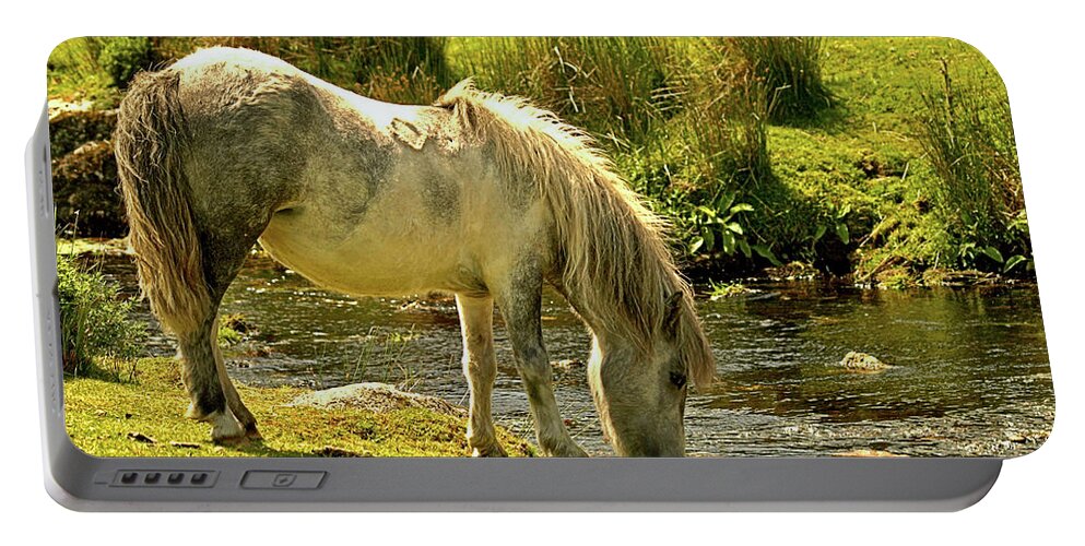 Animals Portable Battery Charger featuring the photograph Dartmoor Pony #2 by Richard Denyer