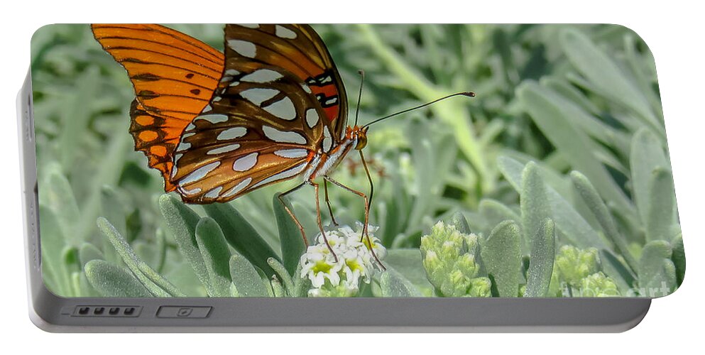 Cheryl Baxter Photography Portable Battery Charger featuring the photograph Delicate Butterfly #1 by Cheryl Baxter
