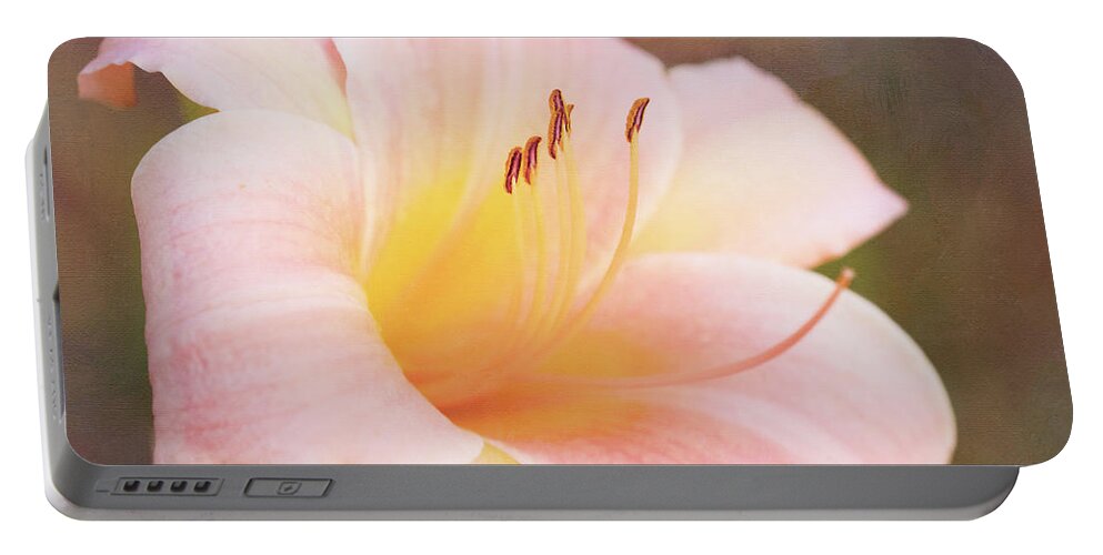 Pink Daylily Portable Battery Charger featuring the photograph Delightful Daylily by Anita Pollak