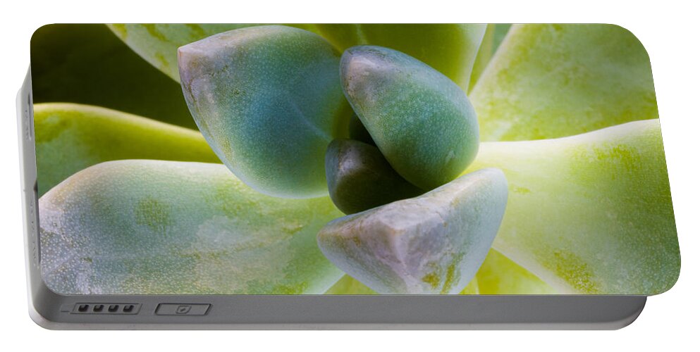 Beautiful Portable Battery Charger featuring the photograph Blue Pearl Plant #1 by Raul Rodriguez