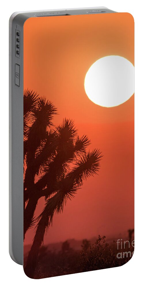 Tree Portable Battery Charger featuring the photograph Desert Sunrise by Vincent Bonafede