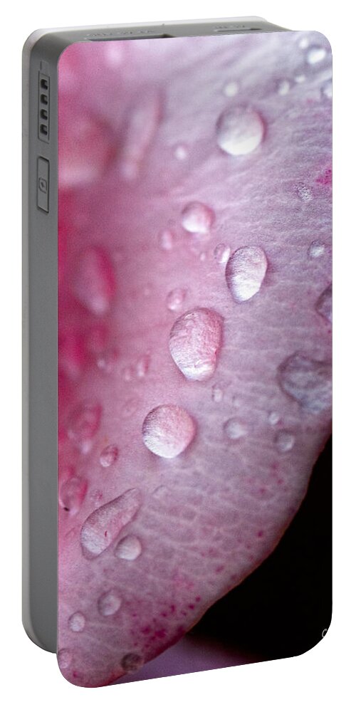 Petal Portable Battery Charger featuring the photograph Droplets On Pink #1 by Christopher Holmes