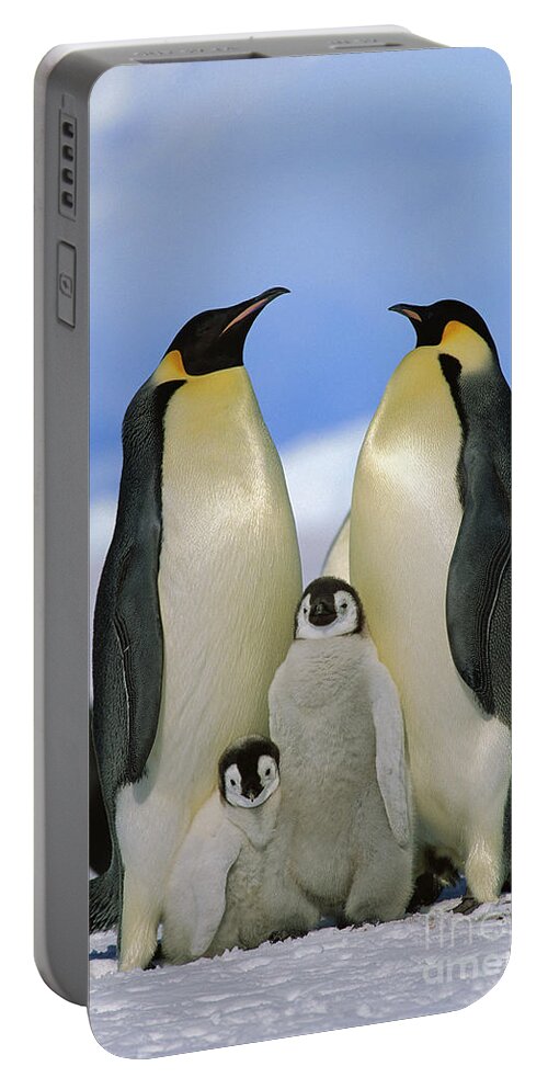 Mp Portable Battery Charger featuring the photograph Emperor Penguin Family #2 by Konrad Wothe